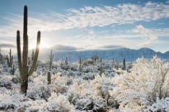 Sunrise, Sonoran Desert by John Miranda 