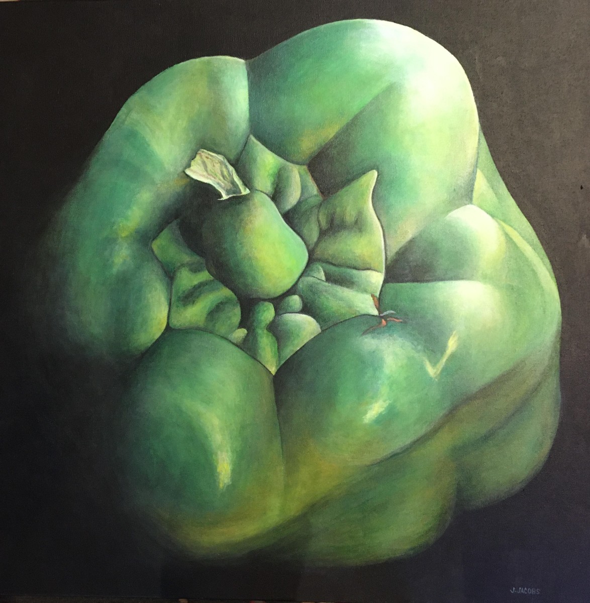 Green Pepper by Judy Jacobs 