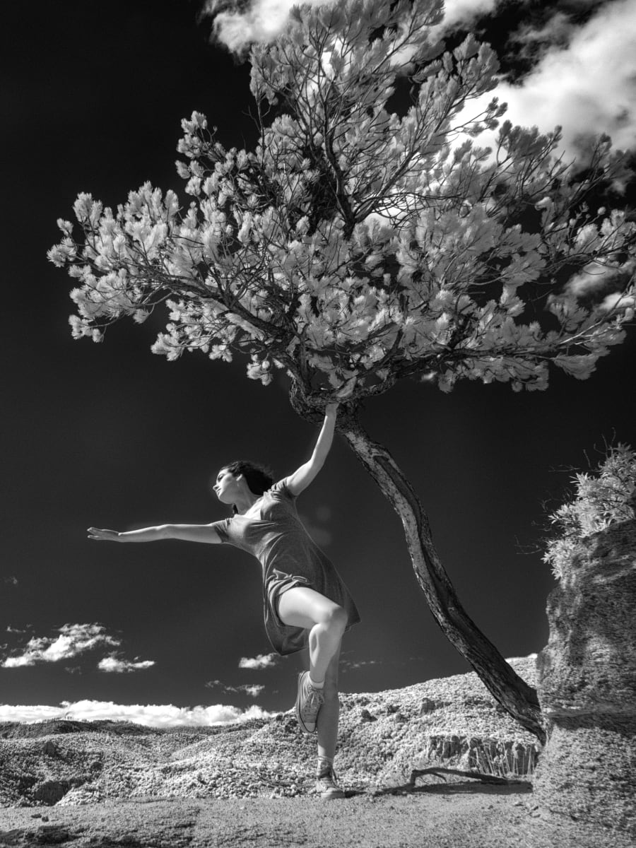 from Dancing at Windy Point series - Gabi 587 by Larry Hanelin 