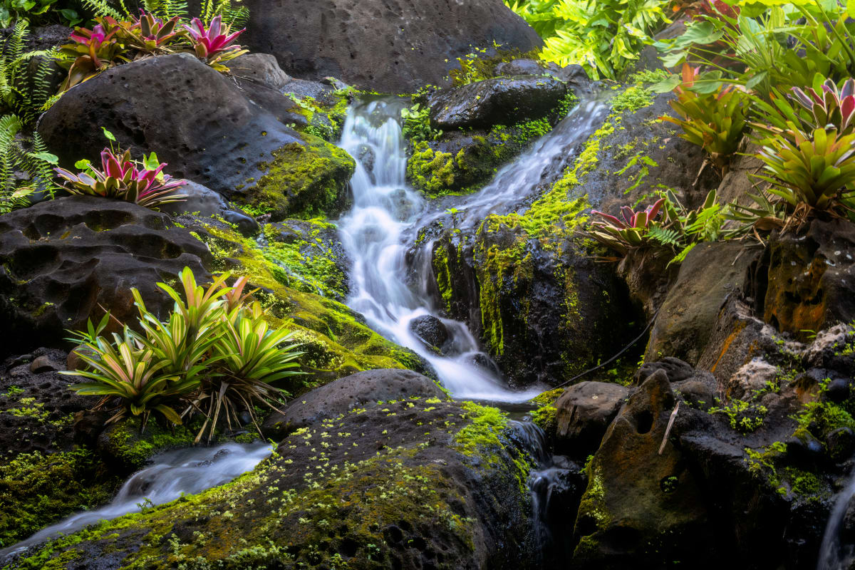 Kauai Waterfall by Larry Hanelin 