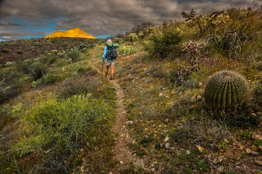 On the Arizona Trail by Larry Simkins 