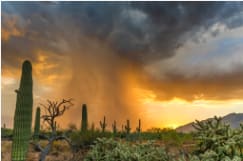 Sabino Storm by Leila Shehab 