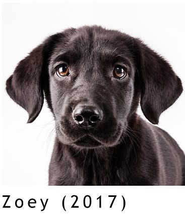 Zoey by Michael Kloth 