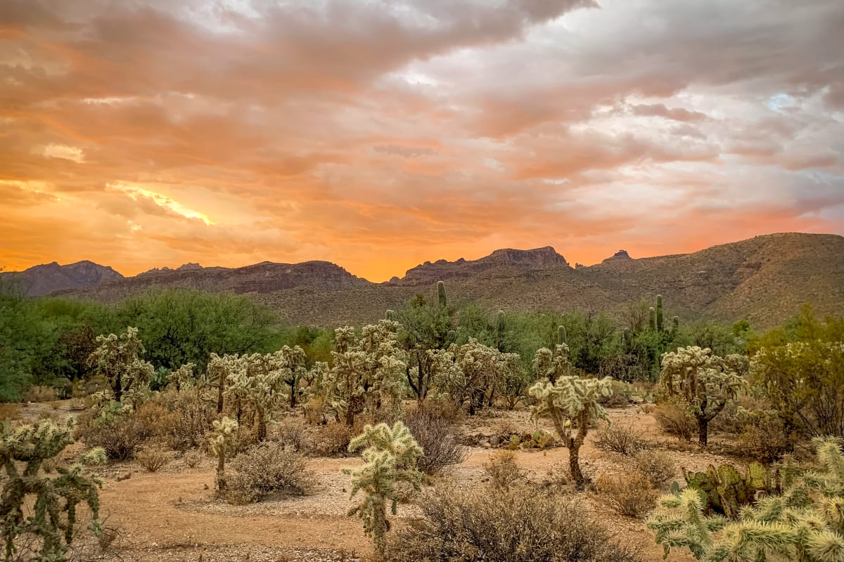 Evening Splendor by Marianne Leis 