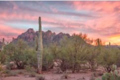 Saguaro Sunrise by Martin Baker 