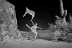 from Dancing in Sabino Canyon series - 215 by Larry Hanelin 