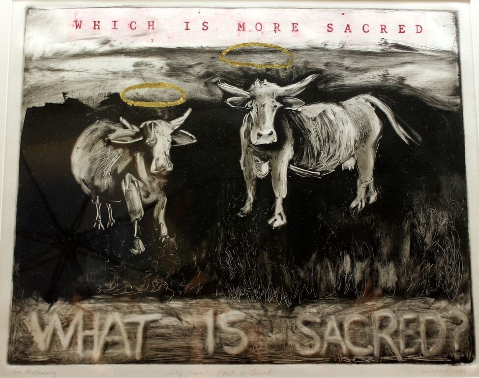 Holy Cows: What is Sacred by Christina McNearney 