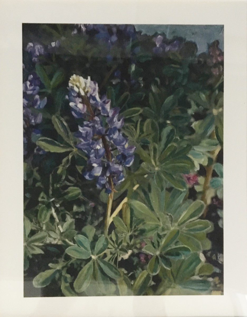 Lupine by Moira Geoffrion 