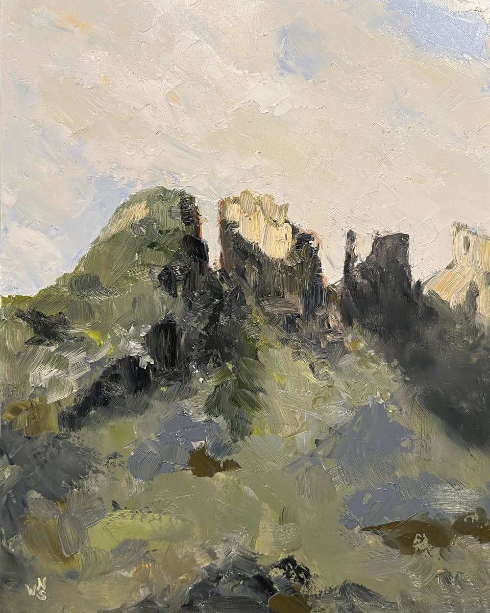 Above the Sonoran Desert, 2023 Series (3) by Nathan Saxton 