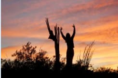 Saguaro Salutation, Tumamoc Hill by Niccole Celeste Radhe 