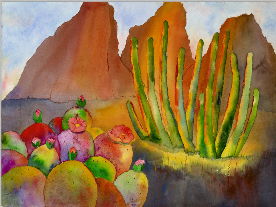 Organ Pipe Sunset by Peter Campbell Chope, Image 1.
