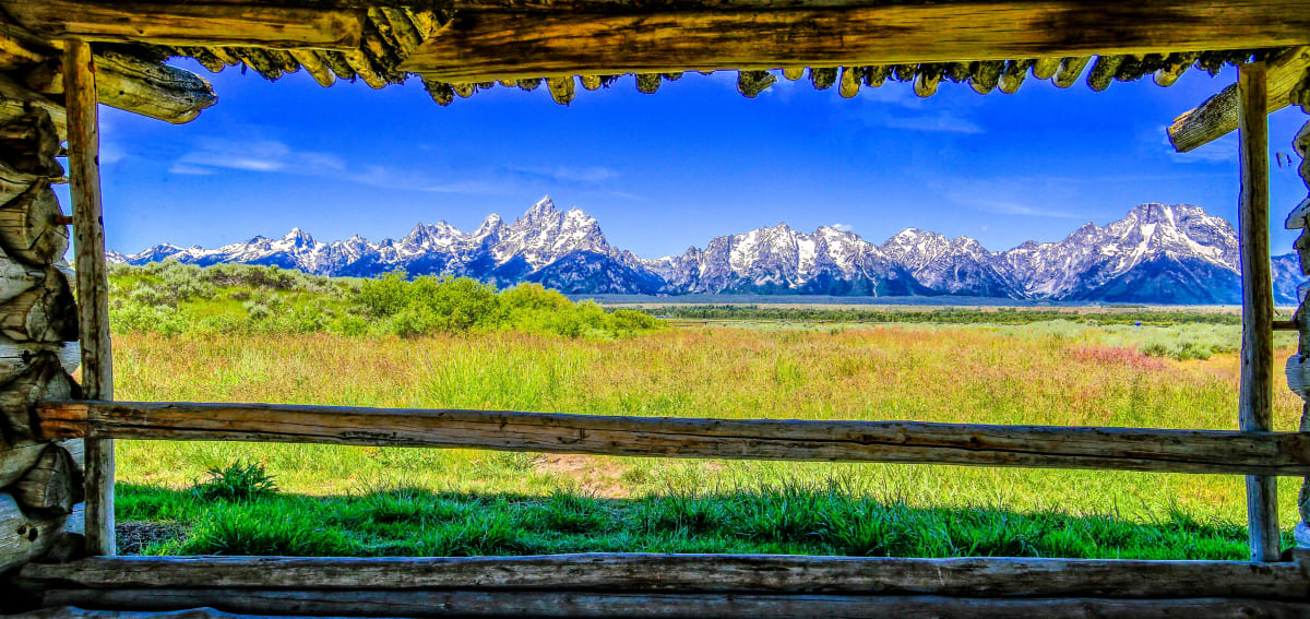 Picture Window by James Root 