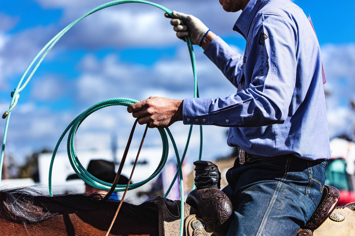 Roping Ready by James Root 