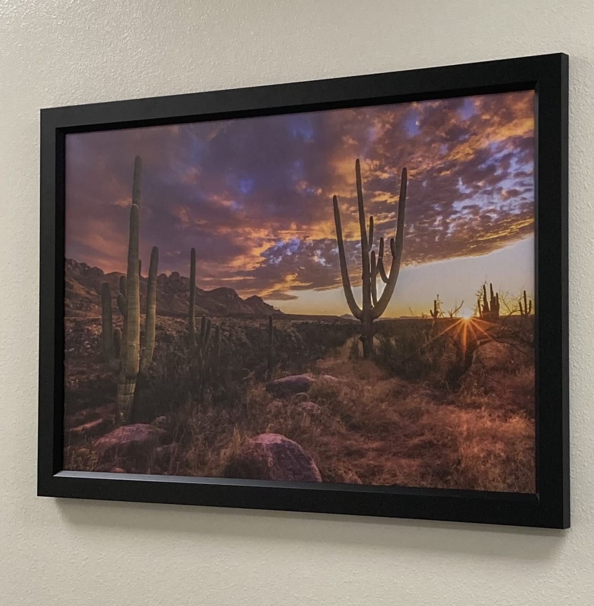 Catalina Sunset by Rhonda Royse 