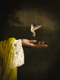 Hand with Hummingbird by Alanna Airitam 