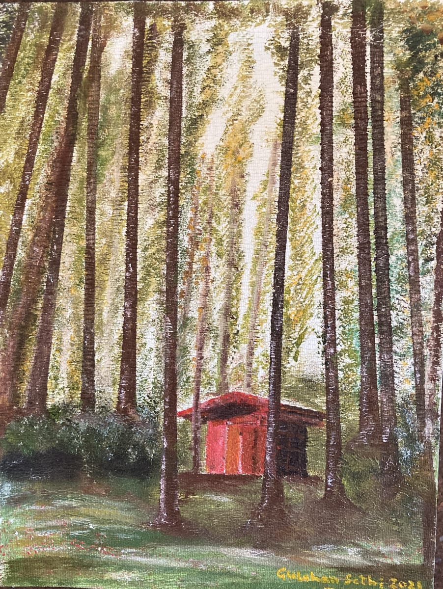 Solitude by Dr. Gulshan K. Sethi 