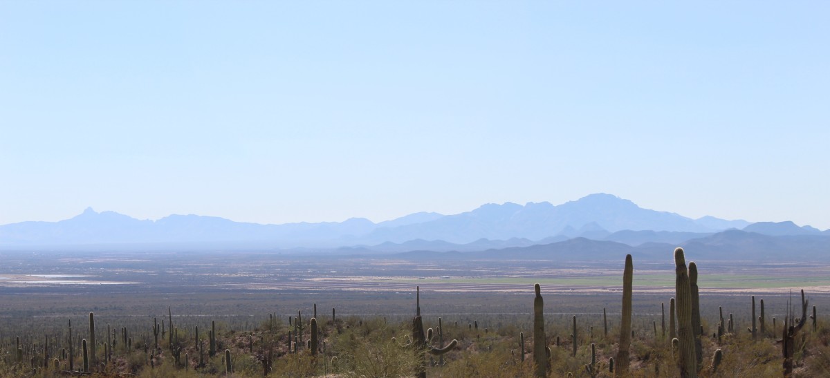 Baboquivari Mountain Range from the Desert Museum    by Stacy Law 
