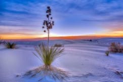 Sunrise at White Sands by Steve Dell 