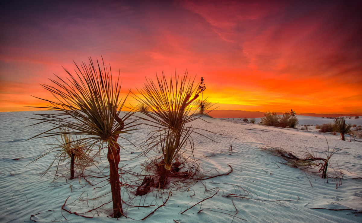 Sunrise, White Sands National Monument    by Steve Dell 