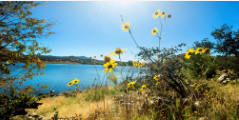 Watson Lake by Niccole Celeste Radhe 