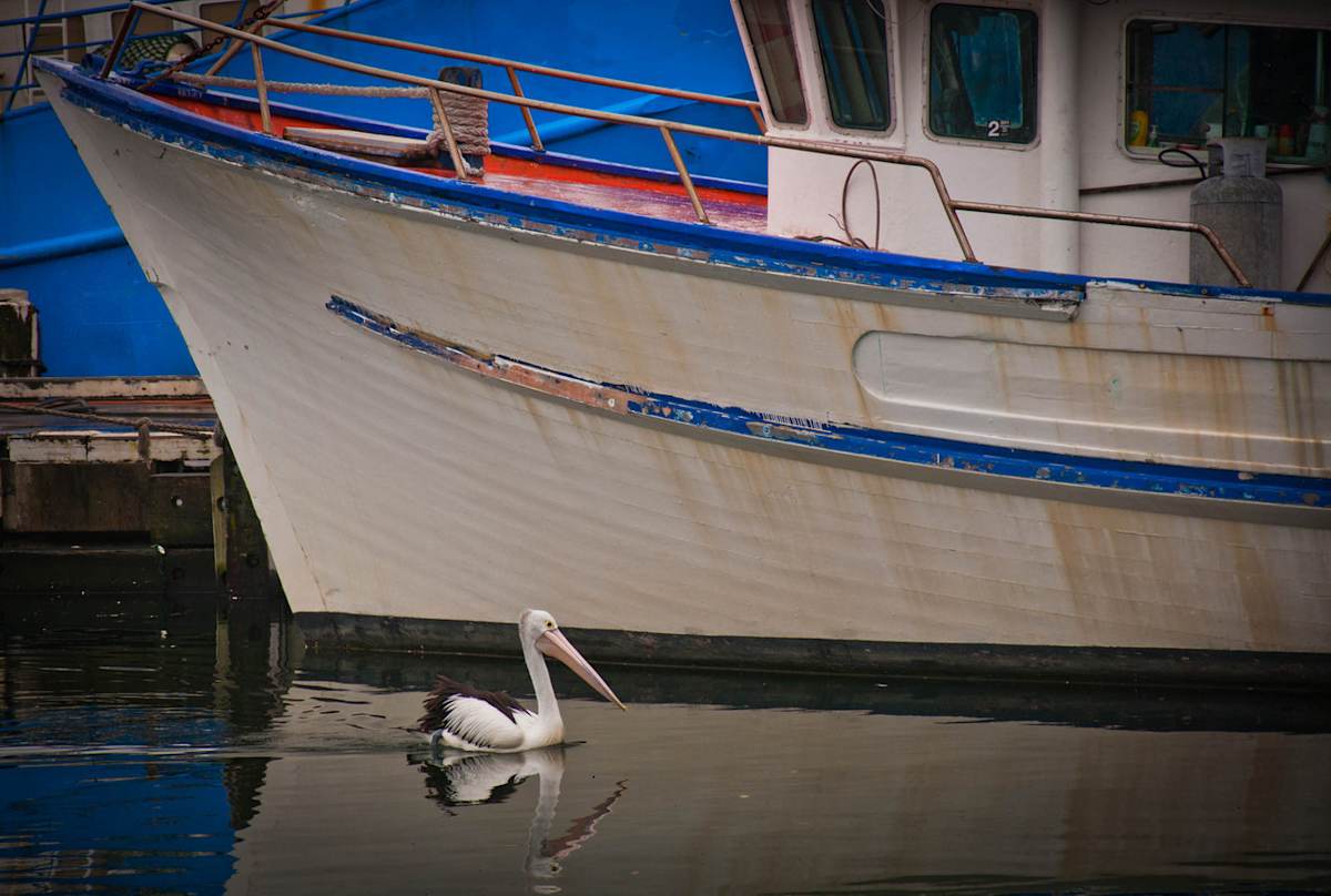 Sydney, Australia 146 by Ed Warner, Image 1.