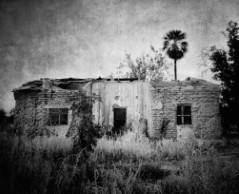 Old Adobe, Banamichi, Sonora by Bill Steen 