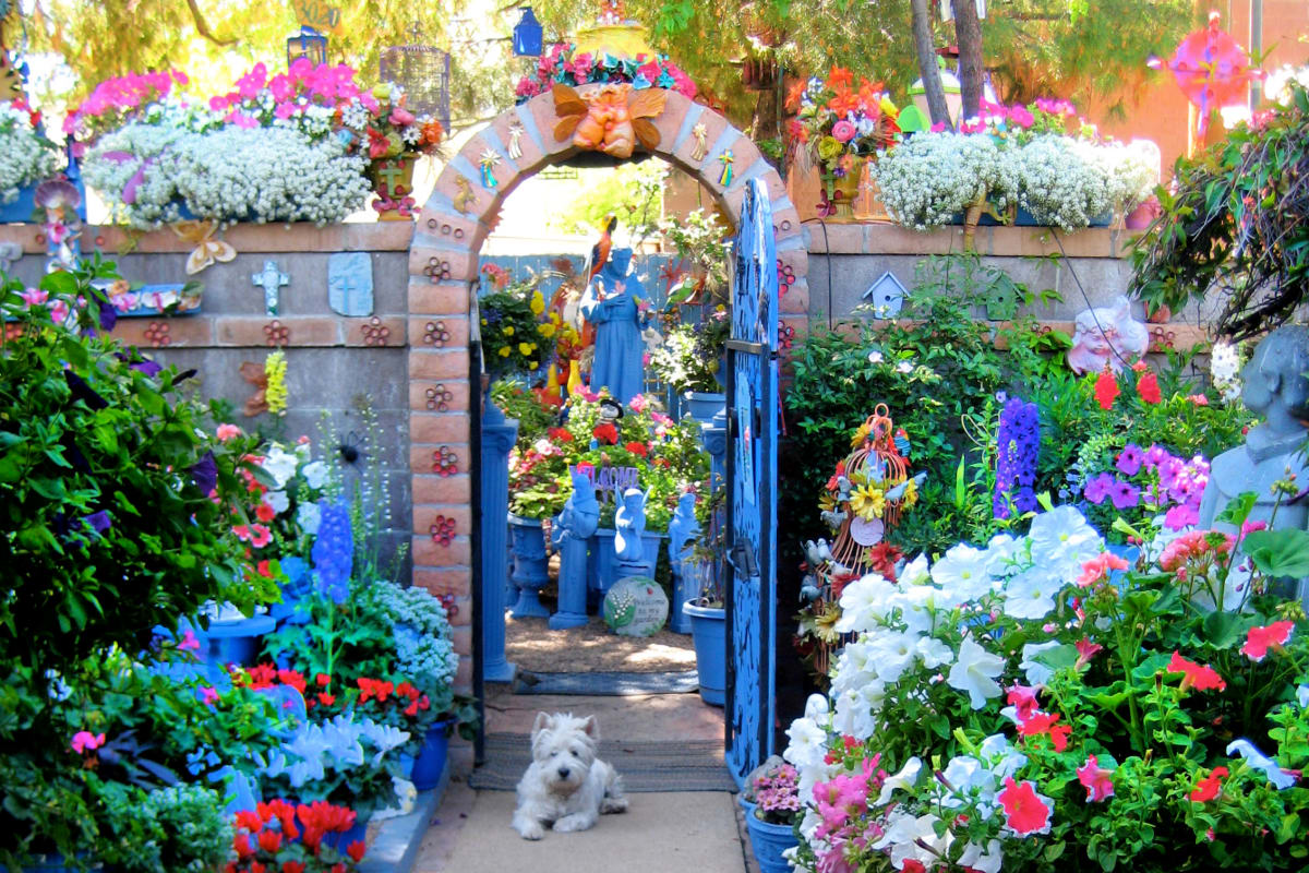 El Jardin Azul: Tuffy at the Gate by Cita Scott 
