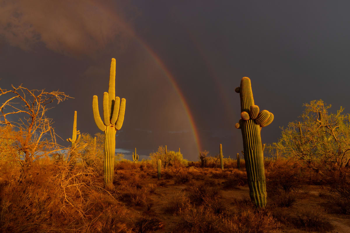 Under the Rainbow by Eric Suhm 