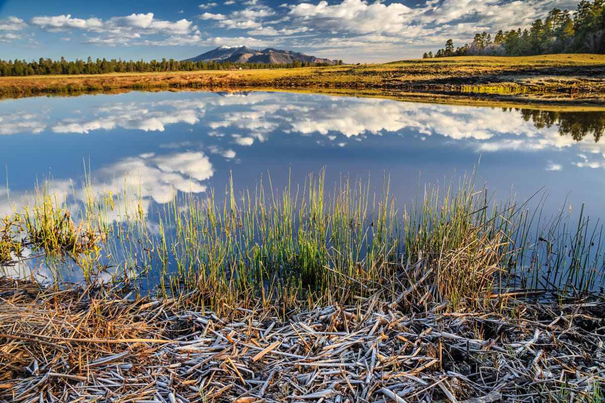Marshall Lake by Larry Simkins 