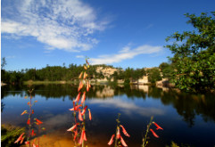 Rose Canyon Firecrackers by Niccole Celeste Radhe 