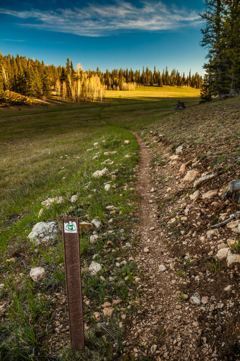 Arizona Trail by Larry Simkins 