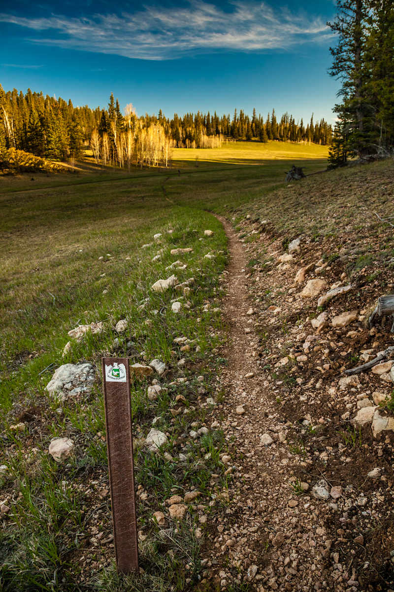Arizona Trail by Larry Simkins, Image 1.