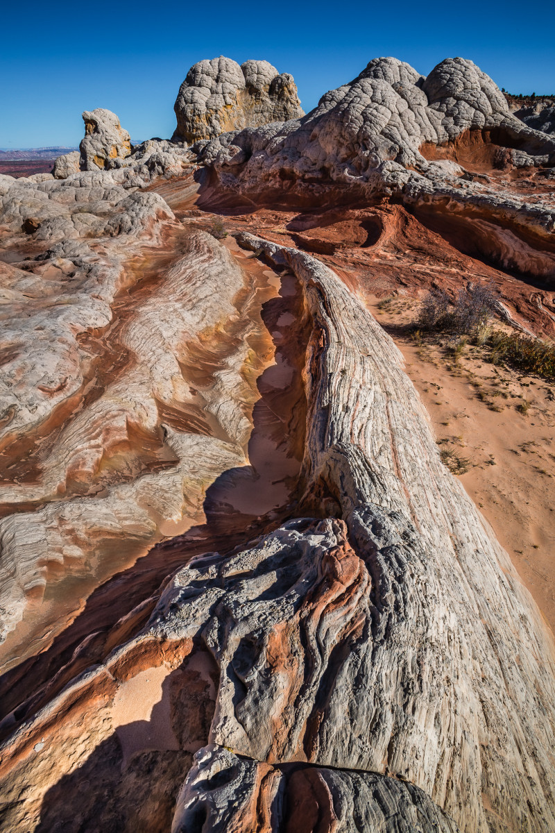 Slick Rock Contortions by Larry Simkins 