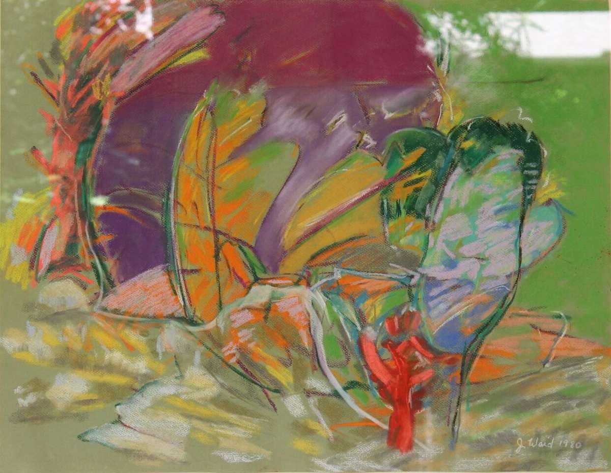 Anza by Jim Waid, Image 2.
