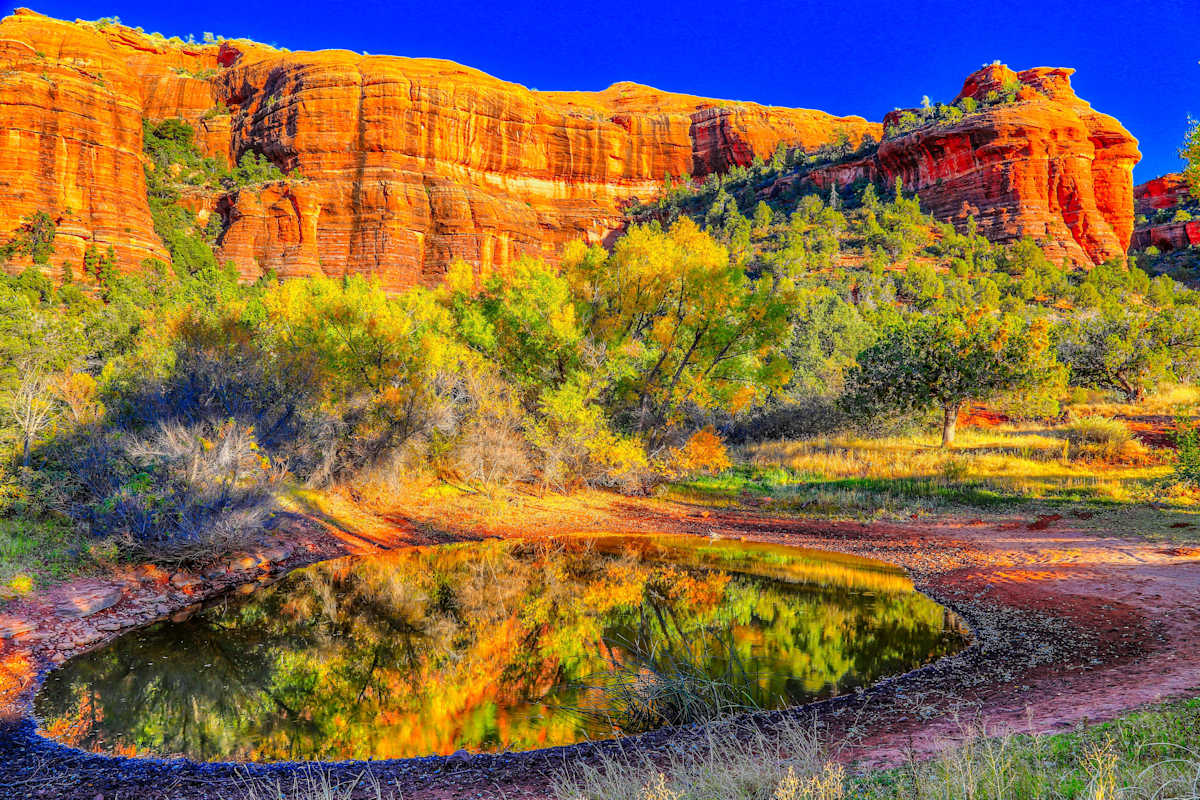 Watering Hole Reflection by James Root, Image 2.