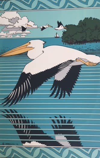 White Pelican by Wes Jernigan 