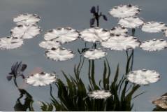 White Waterlies 2 from Moments of Reflection Series by Sonja Van Buuren 