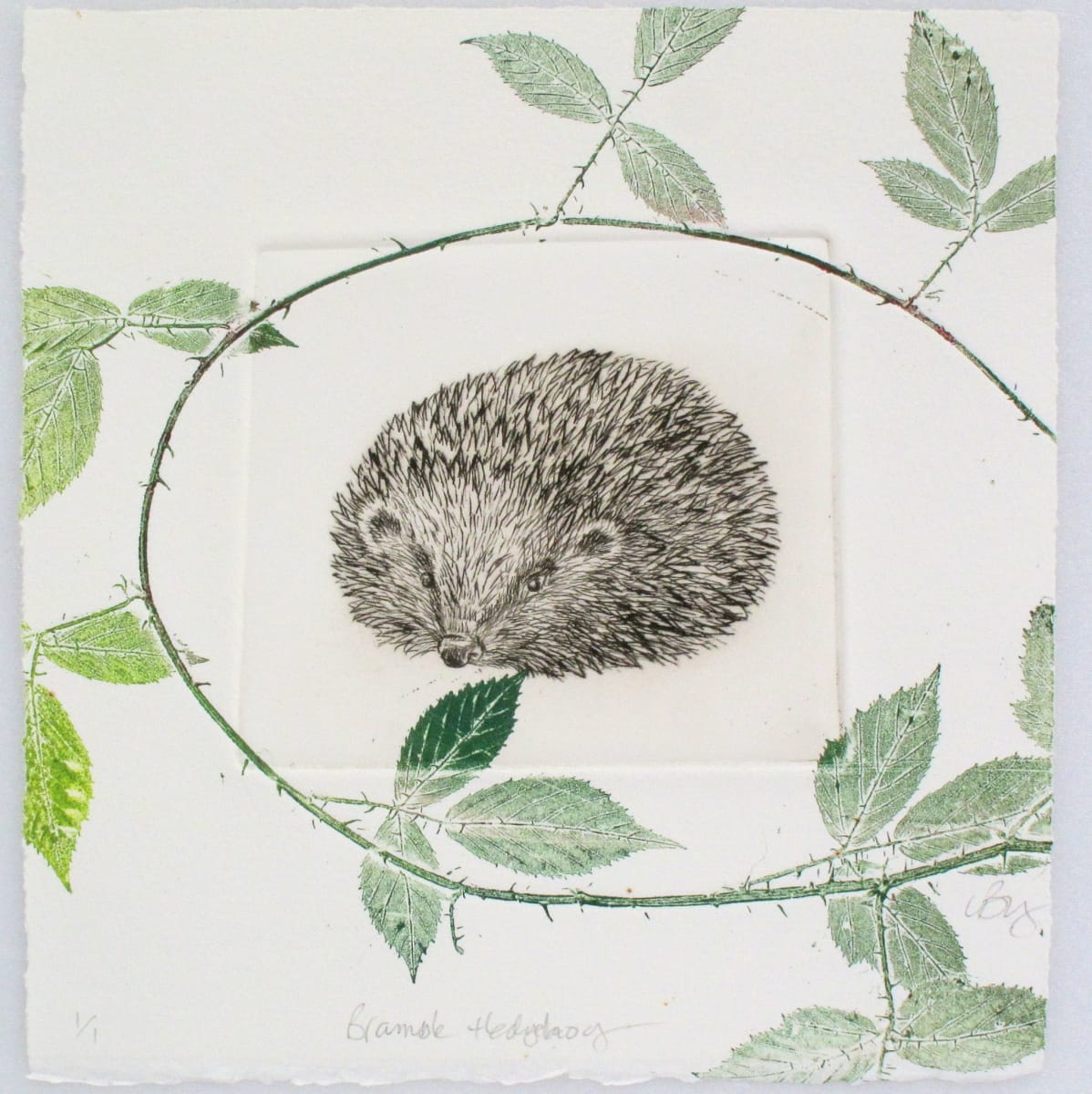 Bramble Hedgehog 