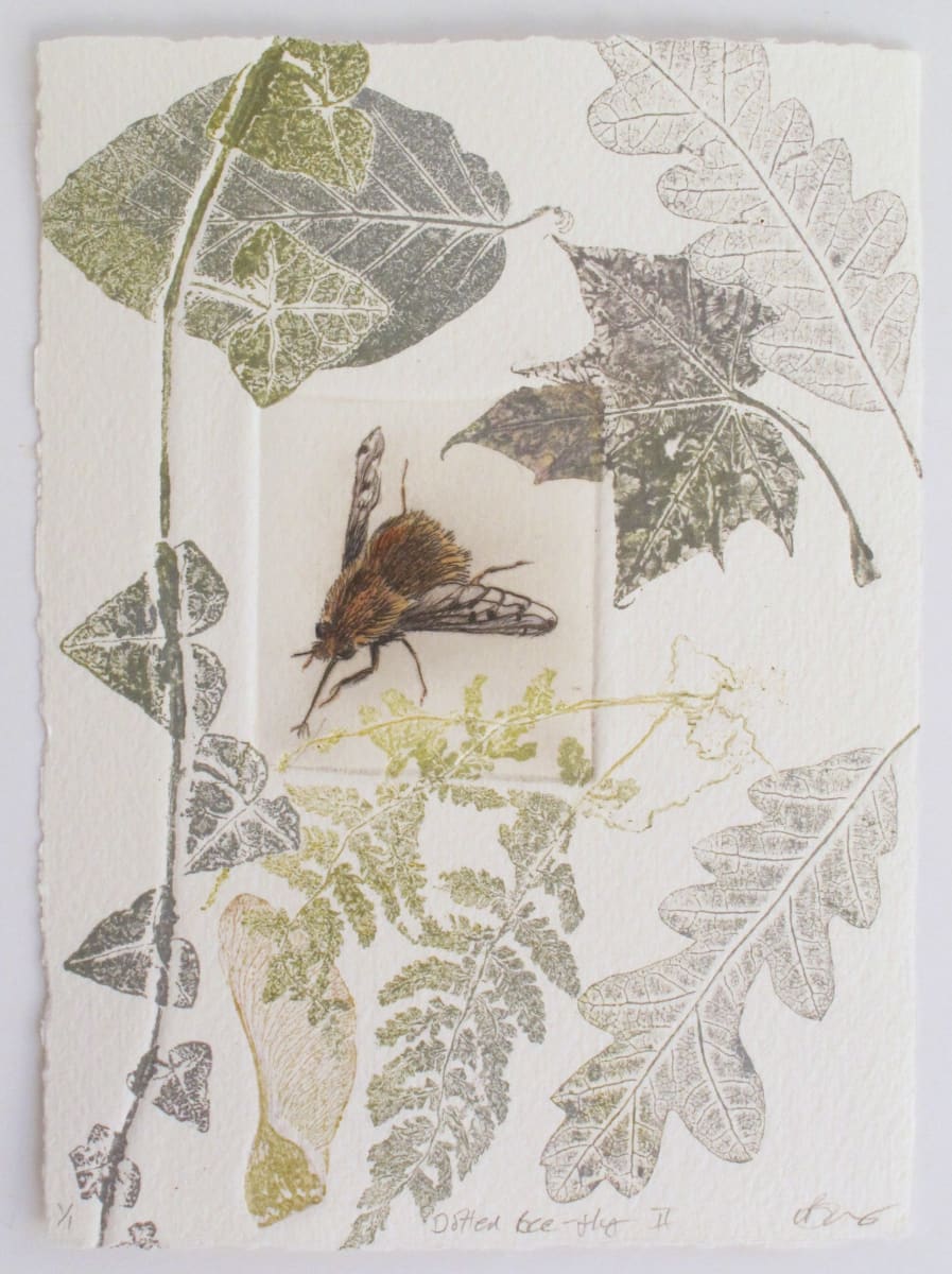 Dotted Bee-Fly II, Image 1.