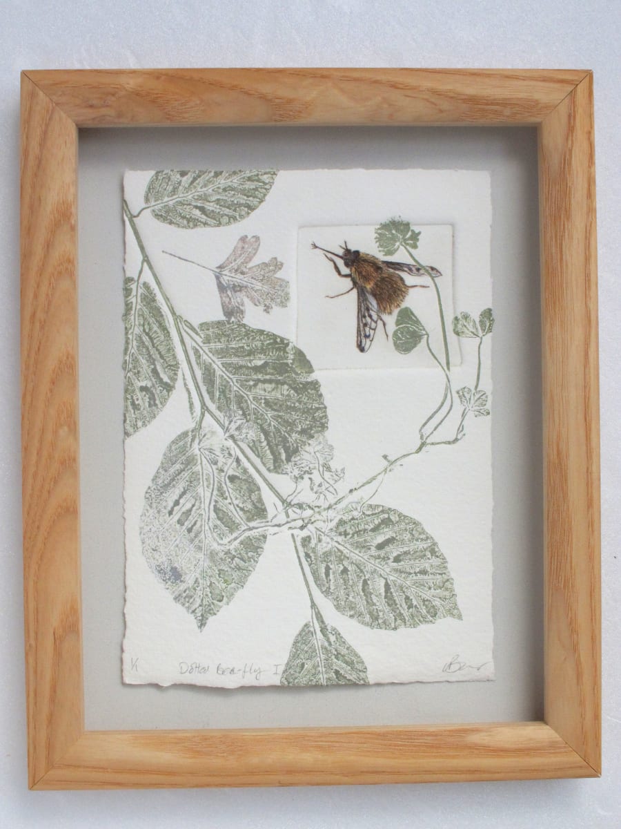 Dotted Bee-Fly I 