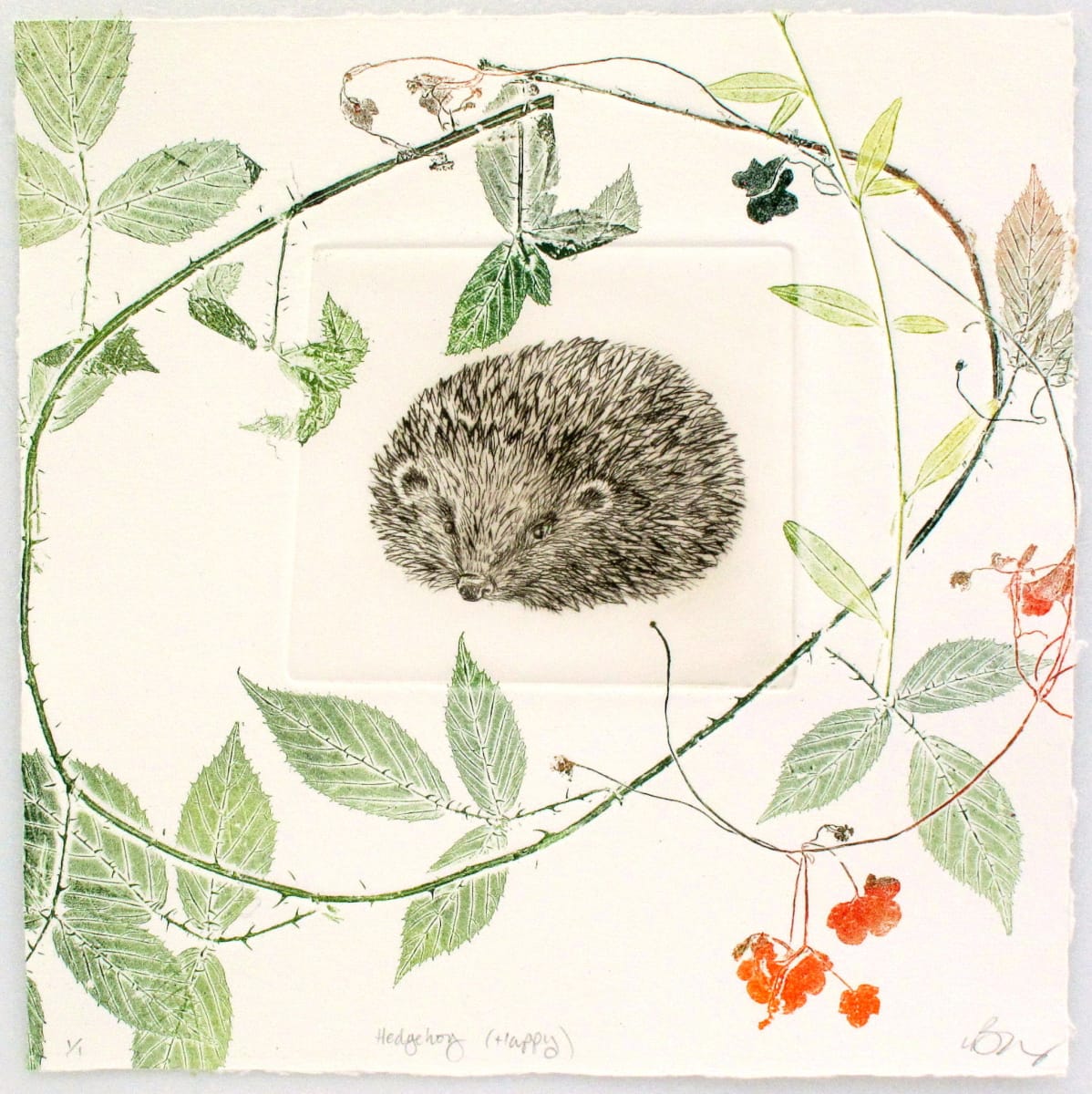 Hedgehog (Happy) - Framed 