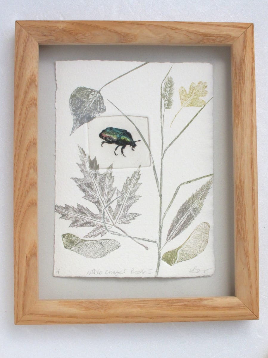 Noble Chafer Beetle I 