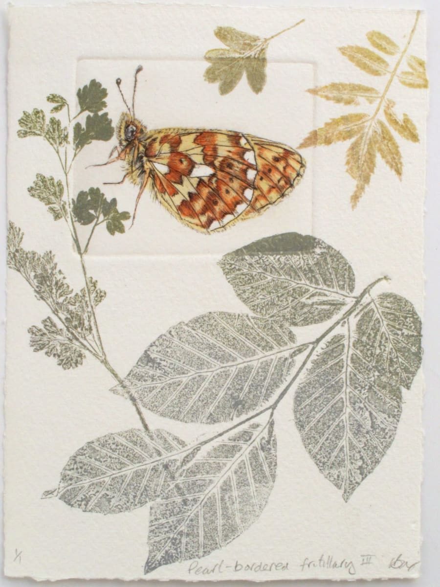 Pearl-Buttoned Fritillary III 