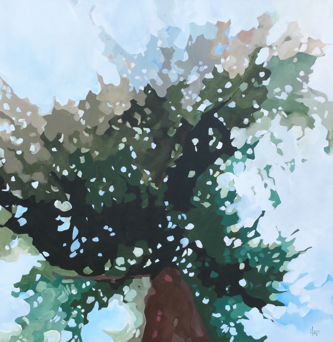 Look up 4 by Holly Ann Friesen 