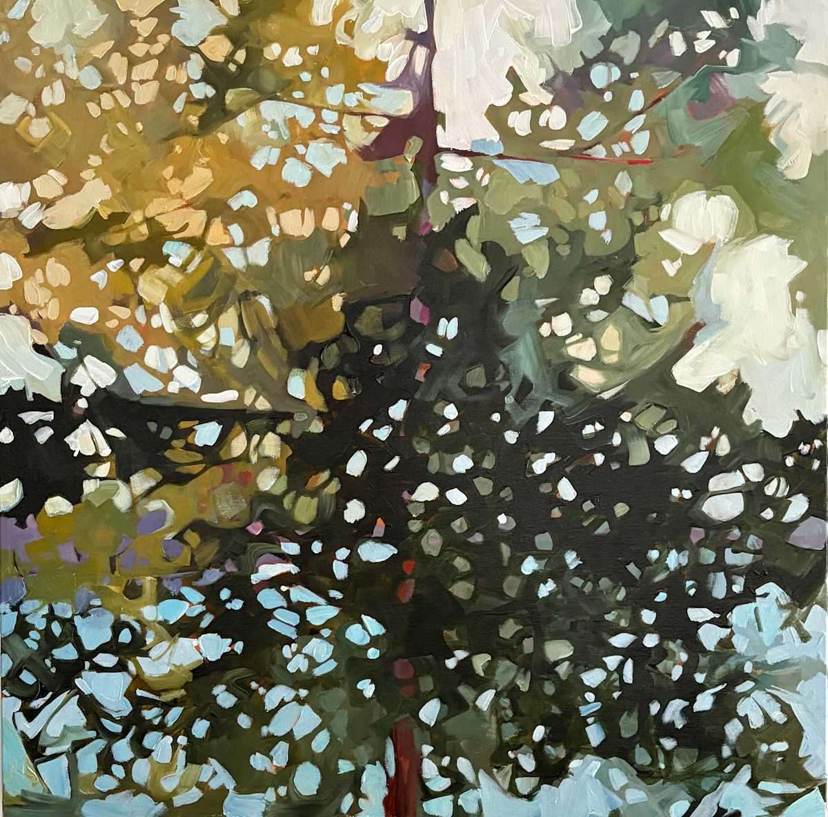 Beyond the Canopy 3 by Holly Ann Friesen, Image 6.