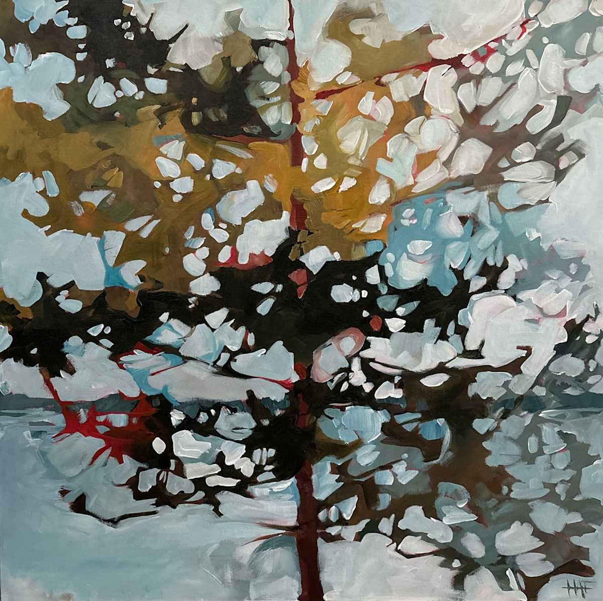 Weathered by Holly Ann Friesen, Image 1.