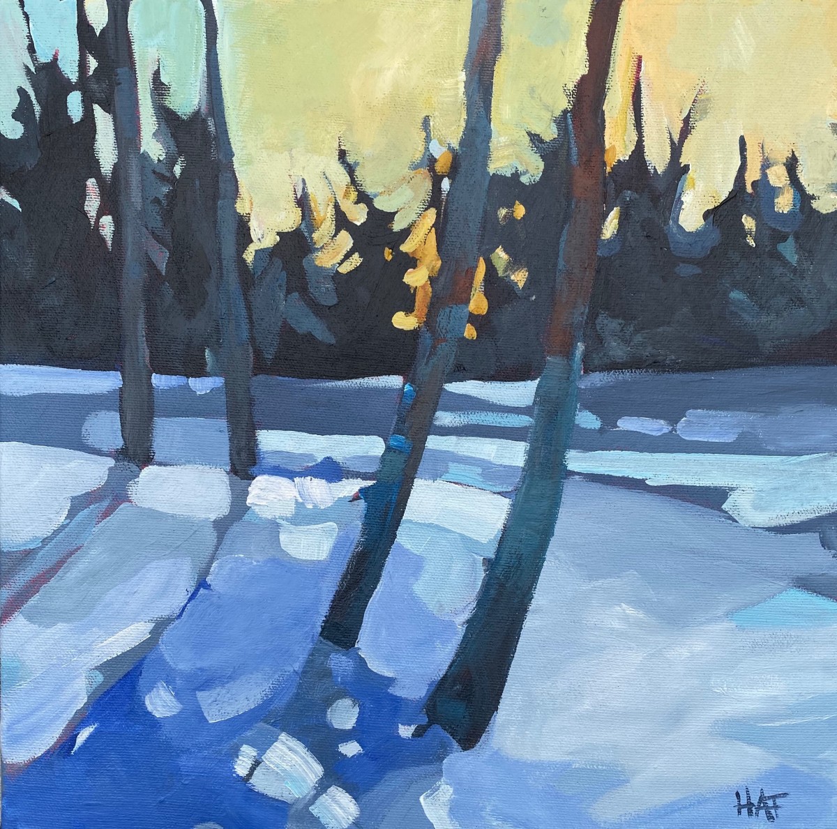 Winter Light by Holly Ann Friesen 