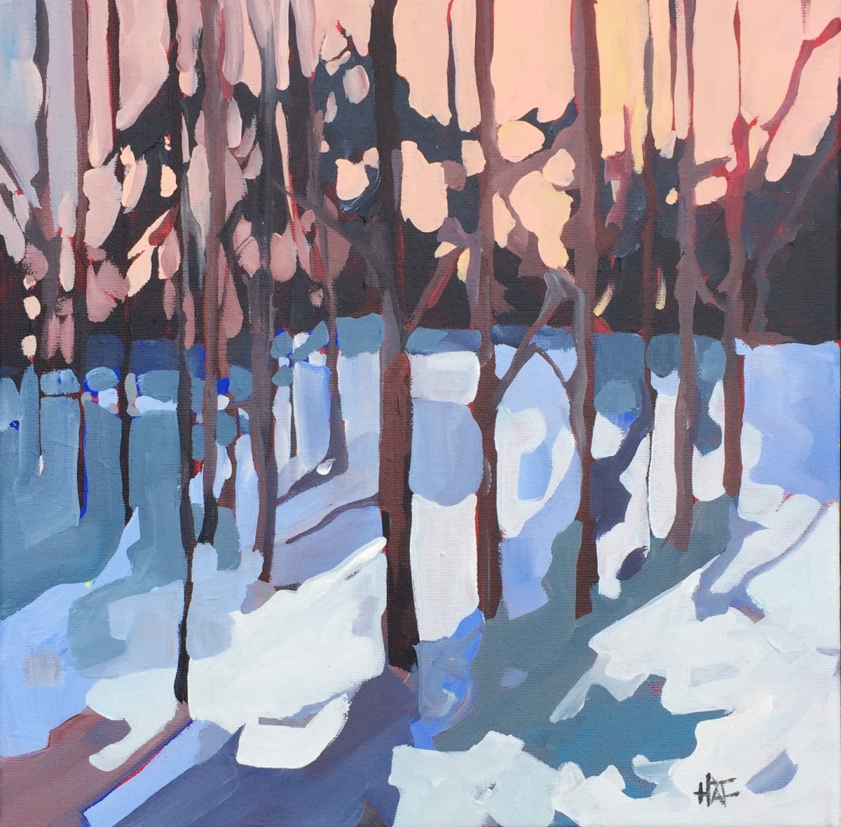 Winter Shadows 4 by Holly Ann Friesen 