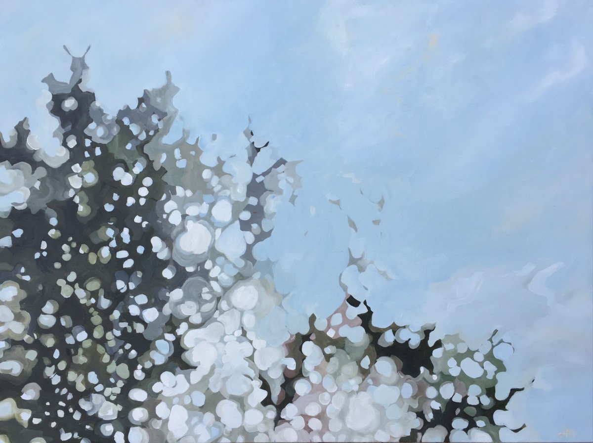 Light Drops by Holly Ann Friesen 