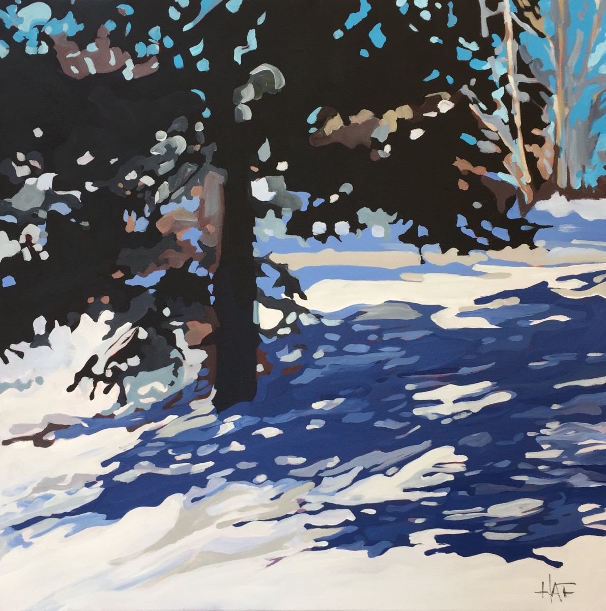 Blue Spruce on Hill by Holly Ann Friesen 
